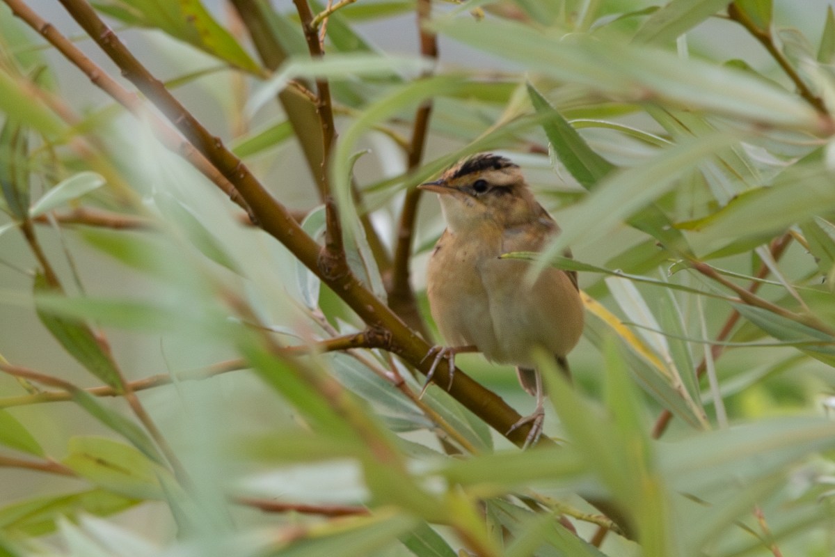 Op en rond&nbsp;vakantie
